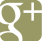 Google+