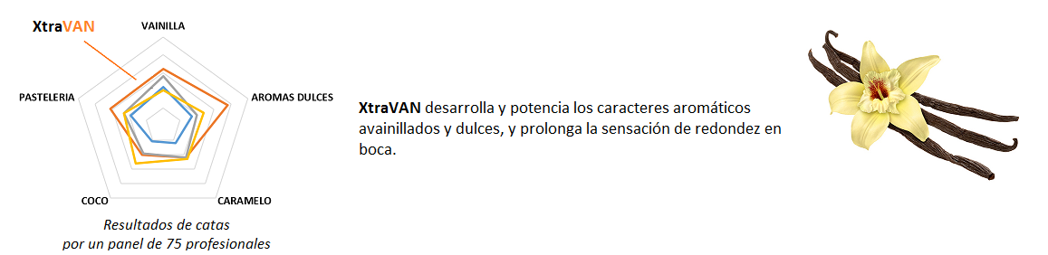ilustracion XtraVan